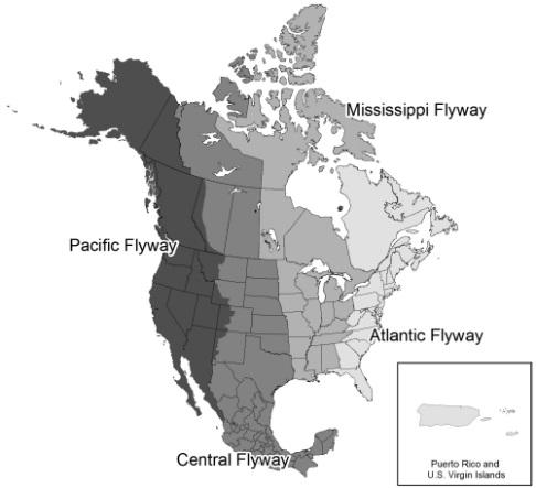 US-Flyway